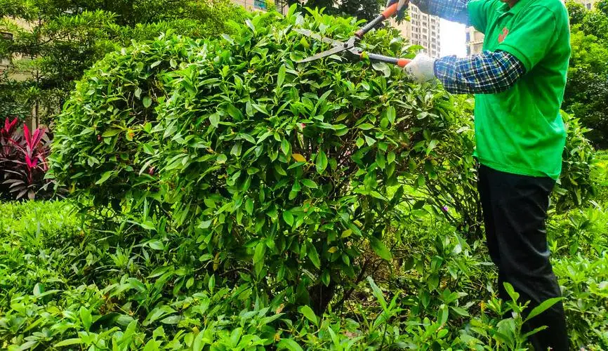 值得期待！未来体育跑道材料的施工技术将达到何种高度？