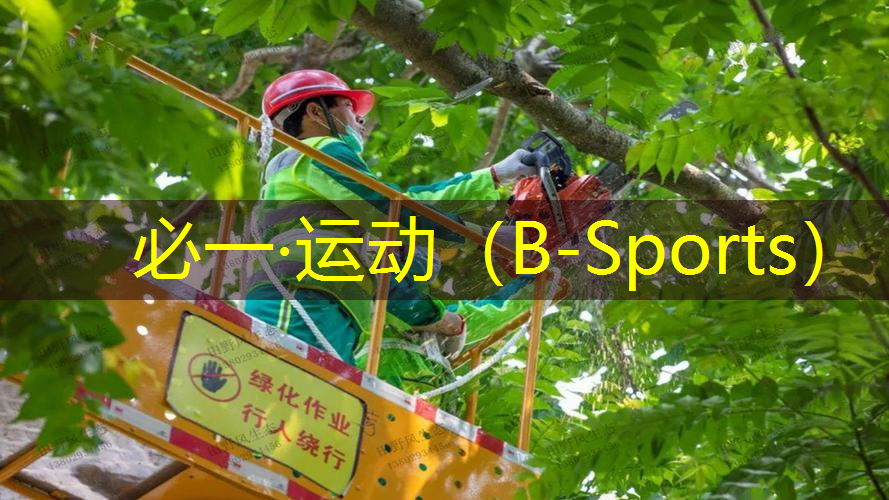 绿色环保，高度弹性——塑胶跑道材料的独特之处！
